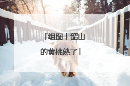 组图丨韶山的黄桃熟了